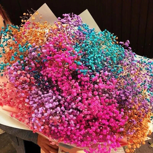Premium Rainbow Baby's Breath Dried Flower Bouquet in Ceramic Vase – Elegant Home Décor (Medium)
