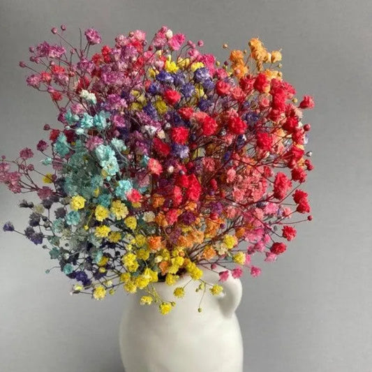 Premium Rainbow Baby's Breath Dried Flower Bouquet in Ceramic Vase – Elegant Home Décor (Medium)