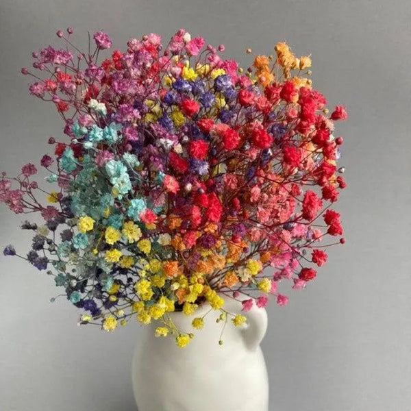 Premium Rainbow Baby's Breath Dried Flower Bouquet in Ceramic Vase – Elegant Home Décor (Medium)